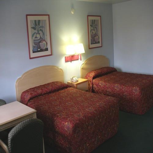 Motel The Lion -
